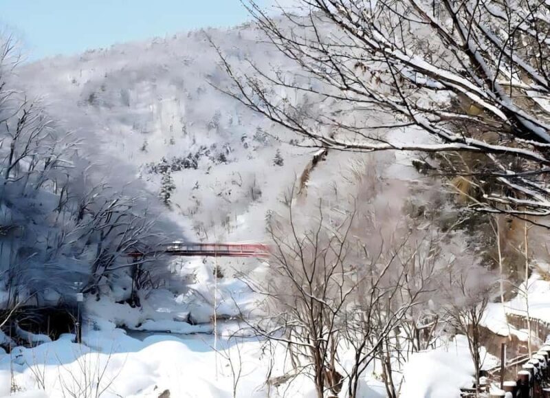 Sopporo: Hokkaido Shrine and Atama Daibutsu Full-Day Tour - Practical Details and Tips