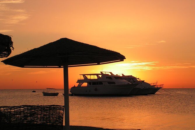Sorkeling Trip to the White Island & Ras Mohammed - Key Points  