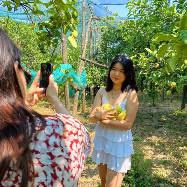 sorrento-authentic-lemon-experience-in-a-farm-with-tastings