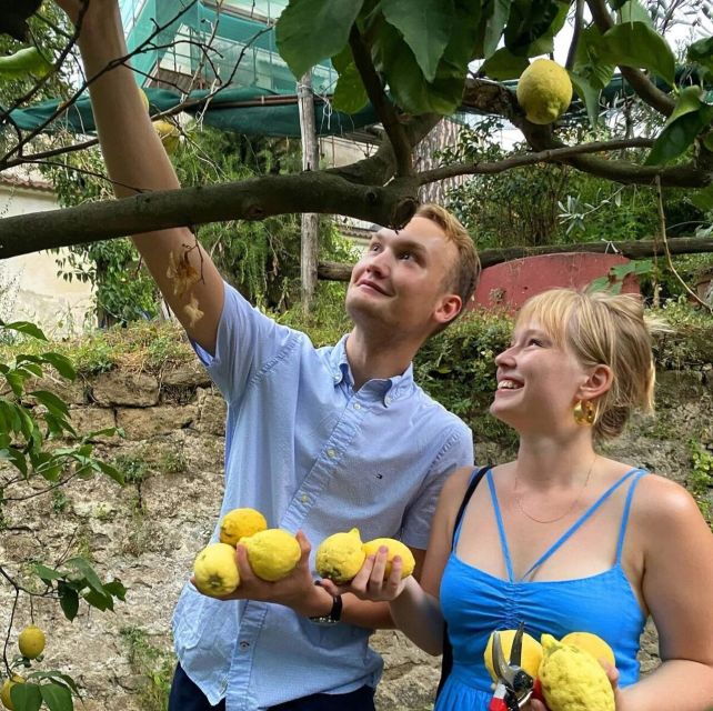 sorrento-authentic-lemon-experience-in-a-farm-with-tastings