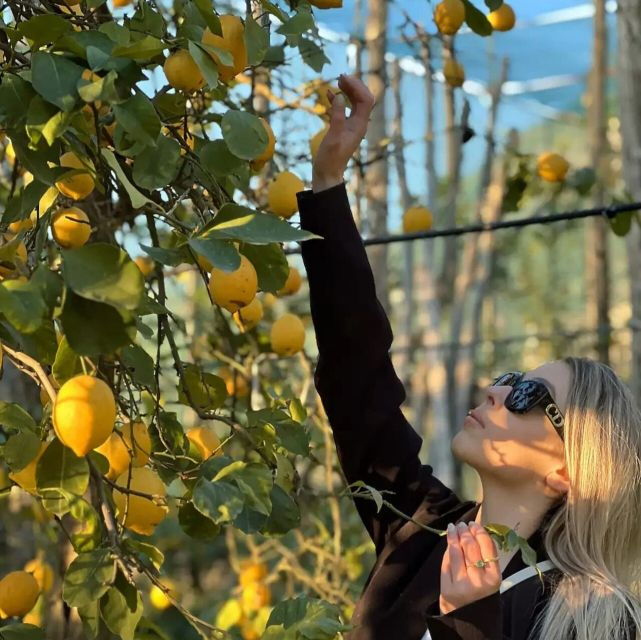 sorrento-authentic-lemon-experience-in-a-farm-with-tastings