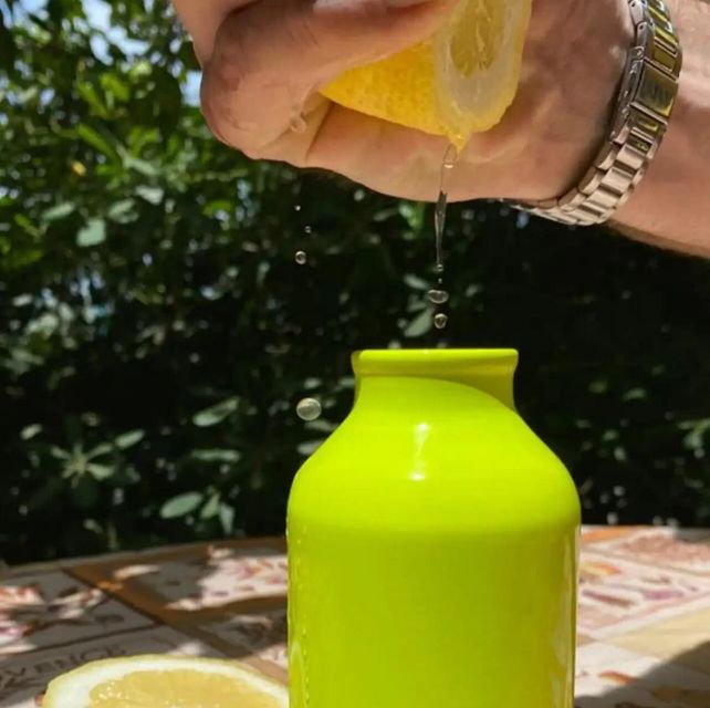 sorrento-authentic-lemon-experience-in-a-farm-with-tastings