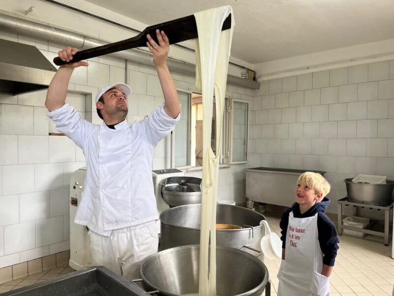 sorrento-coast-mozzarella-tasting-cheese-making-experience