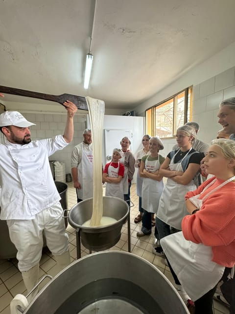 sorrento-coast-mozzarella-tasting-cheese-making-experience