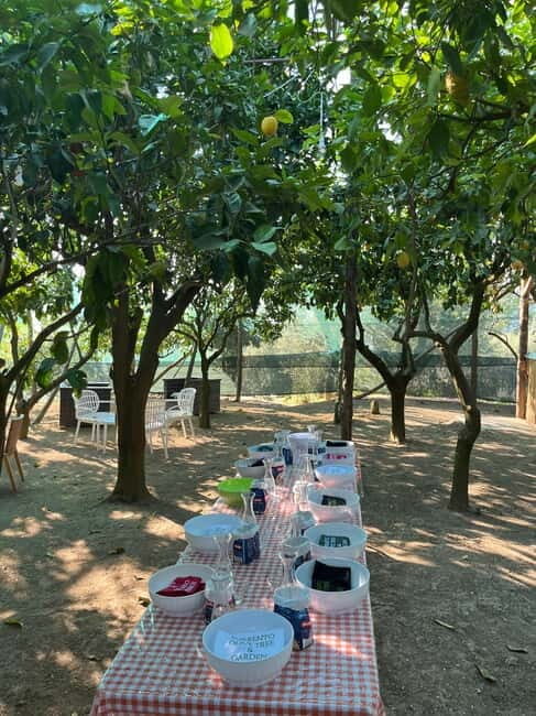 Sorrento: Cooking Class under the Lemon Trees - Frequently Asked Questions (FAQs)