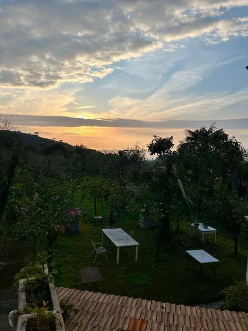 Sorrento: Cooking with a Local Chef & Wine Pairing by the Sea - Key Points