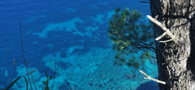 sorrento-exclusive-private-boat-tour-in-the-land-of-mermaids