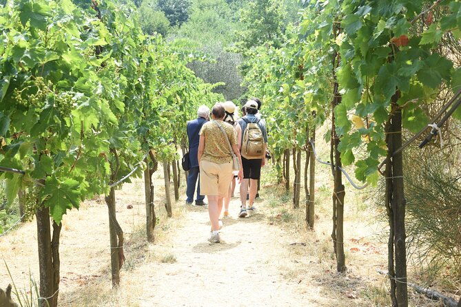sorrento-farm-experience-wine-tasting-pizza-and-cheese-making