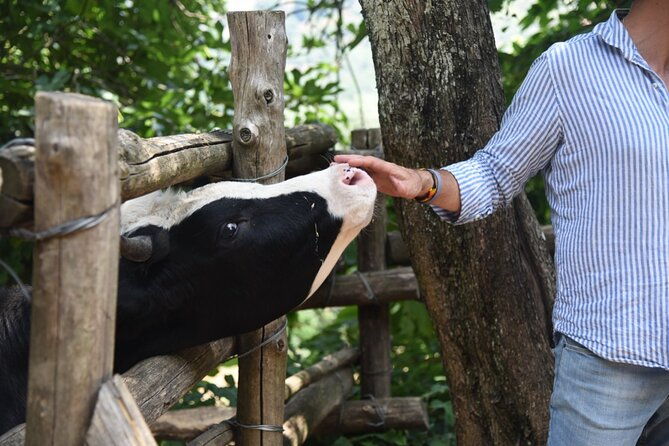 sorrento-farm-experience-wine-tasting-pizza-and-cheese-making