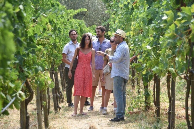 sorrento-farm-tour-with-cheese-tasting-pizza-making-class