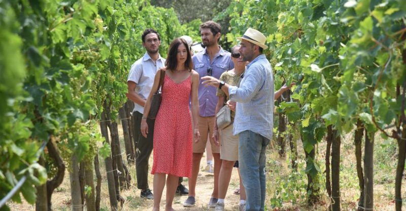 sorrento-farm-tour-with-cheese-tasting-pizza-making-class