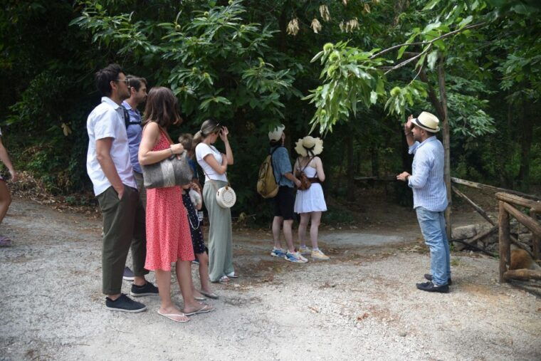 sorrento-farm-tour-with-cheese-tasting-pizza-making-class