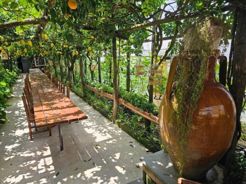 sorrento-food-tour-by-e-bike-and-visit-at-vinegar-cellar