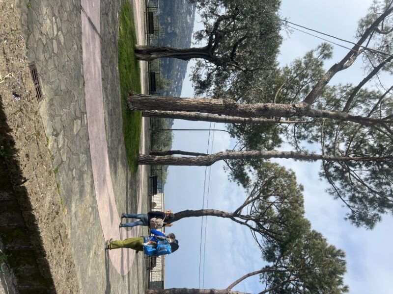 sorrento-from-the-hills-to-the-sea-hiking-tour
