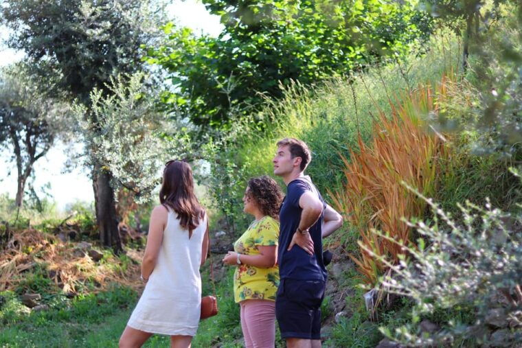 sorrento-guided-olive-mill-visit-with-tastings