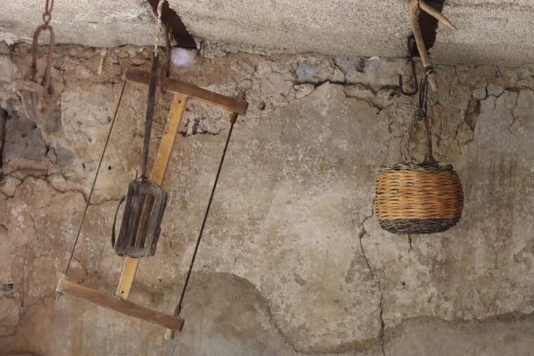 sorrento-guided-olive-mill-visit-with-tastings