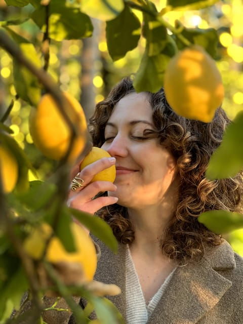 sorrento-lemon-picking-adventure