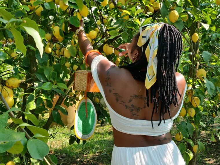 sorrento-lemon-picking-adventure