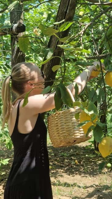 Sorrento: Lemon Picking & Tasting Tour - Who Should Consider This Tour?