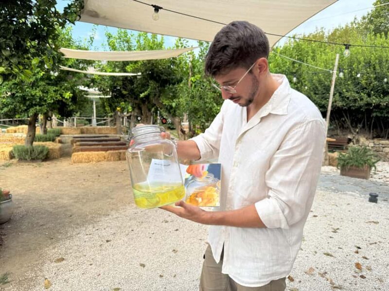 Sorrento: Lemon Tour & Limoncello Spritz Workshop - Exploring the Tour in Detail