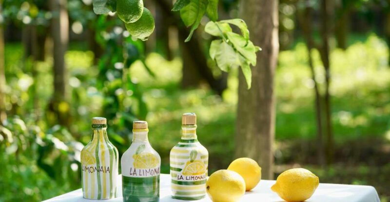 sorrento-lemon-tour