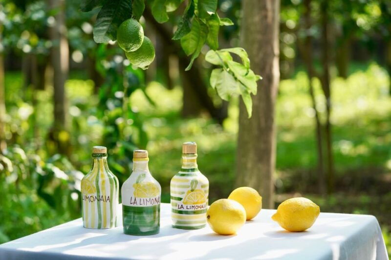 sorrento-lemon-tour