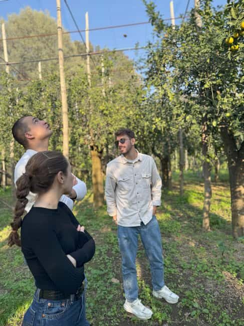 Sorrento: Lemon Tour with Limoncello Tasting - FAQ