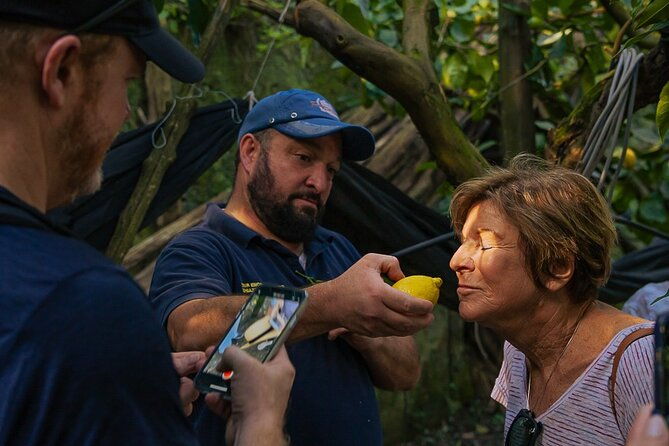 sorrento-lemons-grove-and-farm-tour-tasting-with-pizza-class
