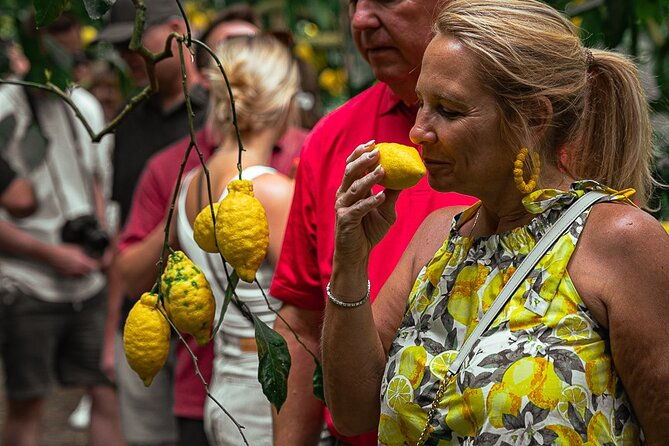 sorrento-lemons-grove-and-farm-tour-tasting-with-pizza-class