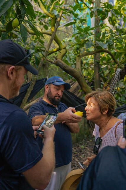 sorrento-lemons-grove-farm-tourtasting-and-pizza-class