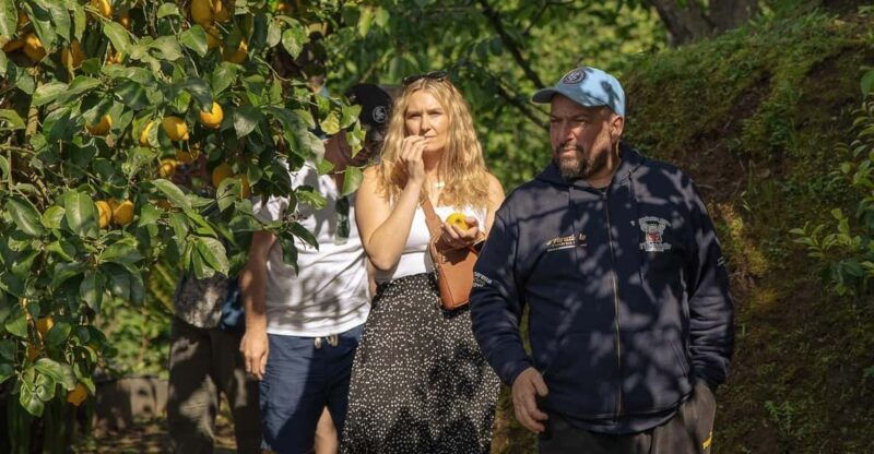 sorrento-lemons-grove-farm-tourtasting-and-pizza-class