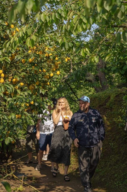 sorrento-lemons-grovecheese-show-with-local-food-tasting