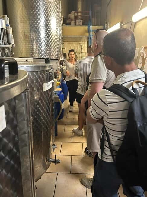 Sorrento: Limoncello Factory Tour and Tasting Experience - Exploring the Tour in Detail