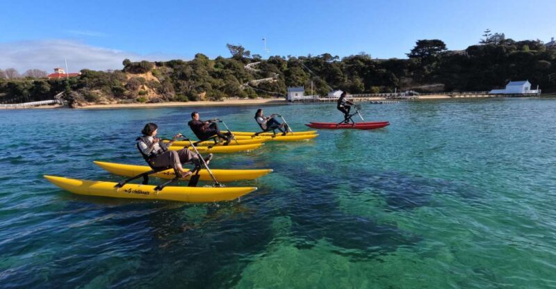 Sorrento, Mornington Peninsula Waterbike Tour - Key Points