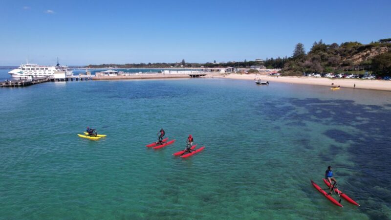 Sorrento, Mornington Peninsula Waterbike Tour - An In-Depth Look at the Waterbike Tour