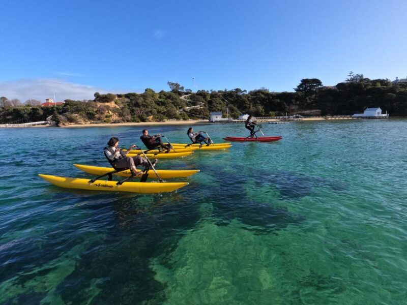 Sorrento, Mornington Peninsula Waterbike Tour - Final Thoughts