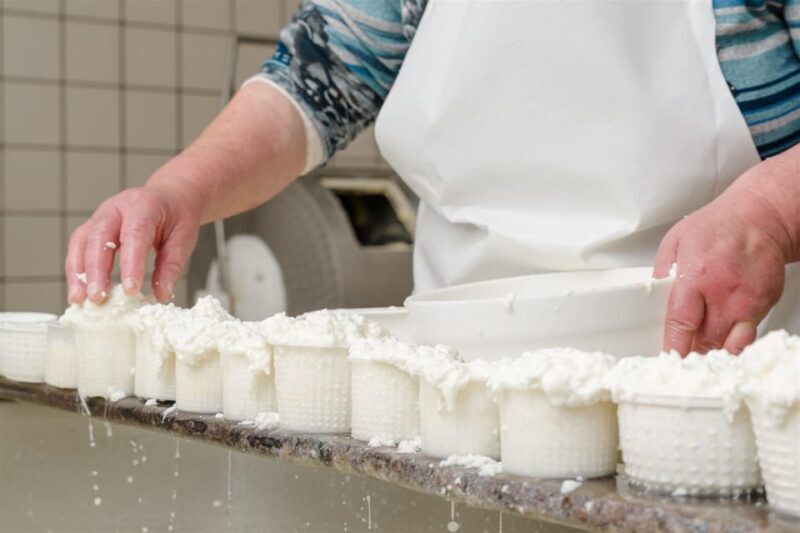 Sorrento: mozzarella cheese workshop in Vico Equense - What Is Included and What to Expect