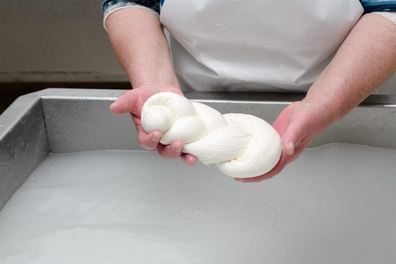 Sorrento: mozzarella cheese workshop in Vico Equense - Tasting and Pairings: A Flavorful Journey