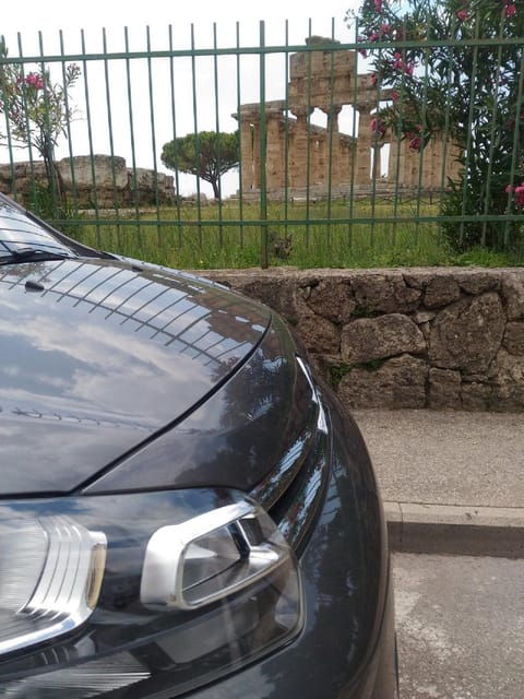 sorrento-paestum-temples-buffalo-mozzarella-farm-tour