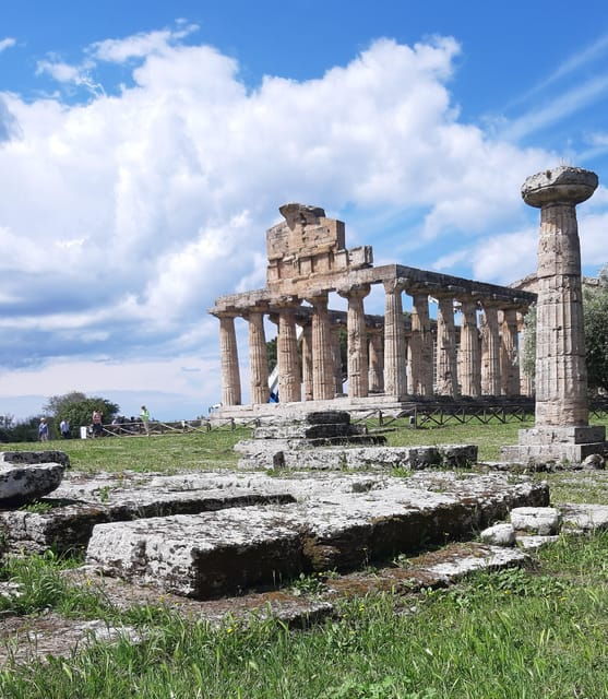sorrento-paestum-temples-buffalo-mozzarella-farm-tour