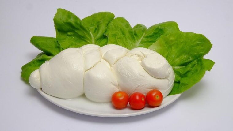 sorrento-paestum-temples-buffalo-mozzarella-farm-tour