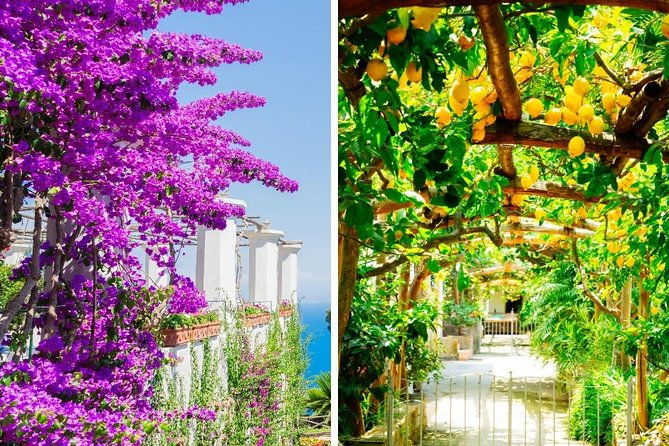 sorrento-pompeii-from-rome-private-day-trip