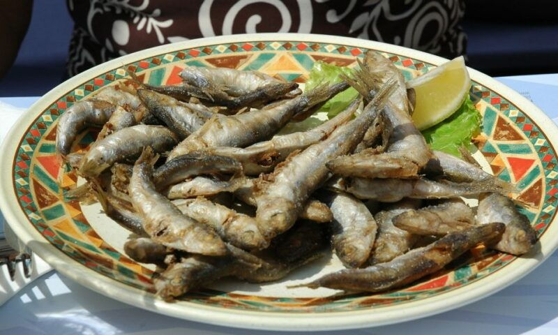 sorrento-sea-fishing-tour-with-lunch-onboard