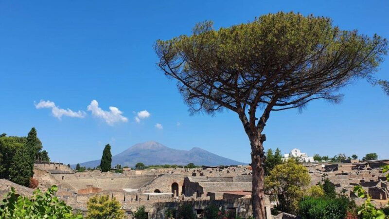 sorrento-skip-the-line-pompeii-express-tour-by-train