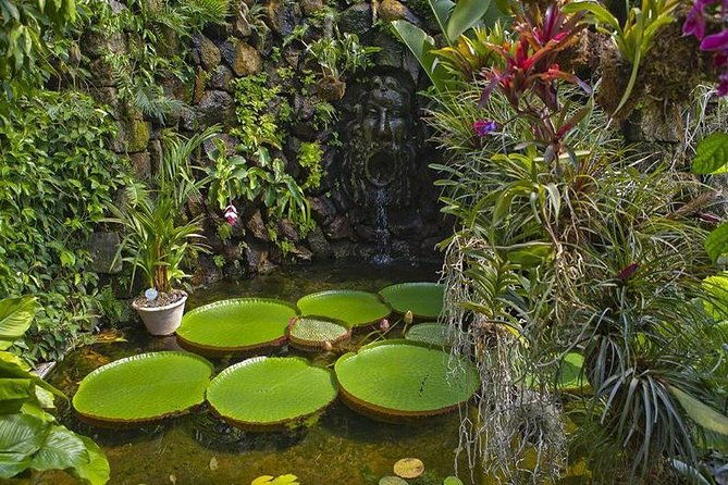 sorrento-to-ischia-and-procida-small-group-boat-tour