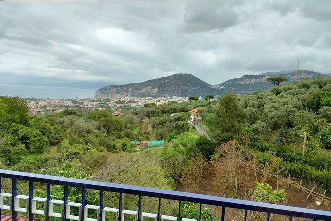 sorrento-tour-cooking-school-lunch-extra-virgin-olive-oil-tasting