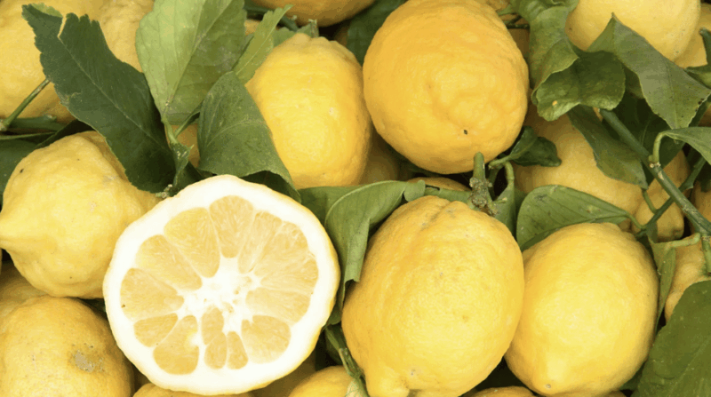 sorrento-walking-tour-in-lemon-garden-w-food-tasting