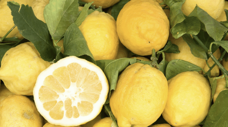 sorrento-walking-tour-in-lemon-garden-w-food-tasting