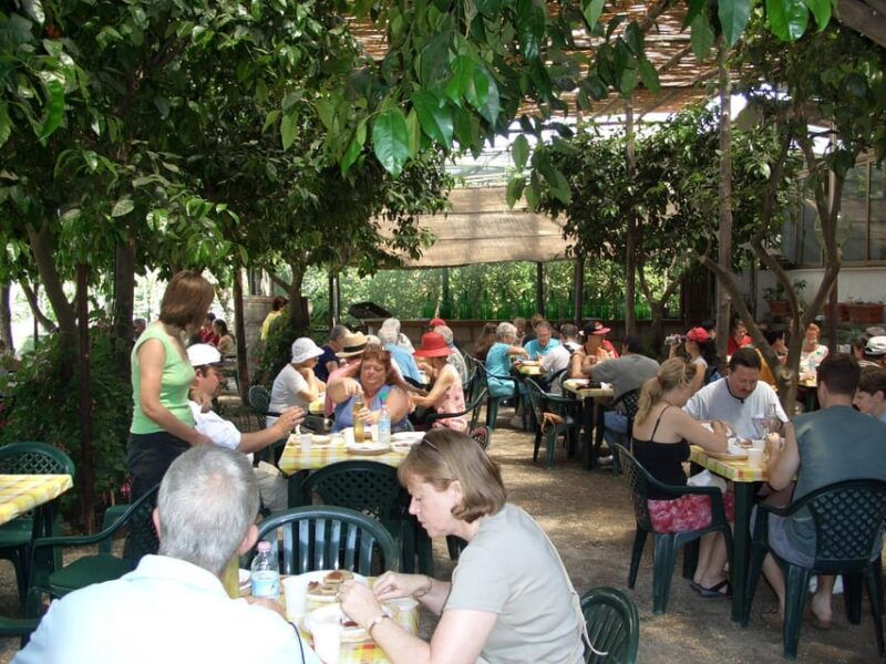 sorrento-walking-tour-in-lemon-garden-w-food-tasting