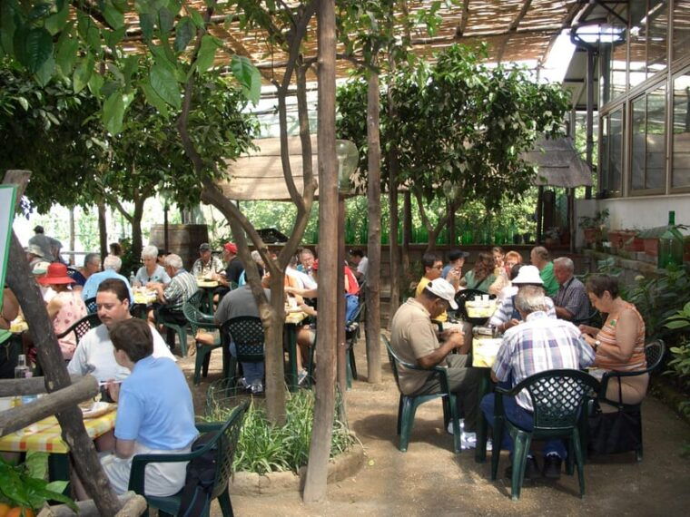 sorrento-walking-tour-in-lemon-garden-w-food-tasting